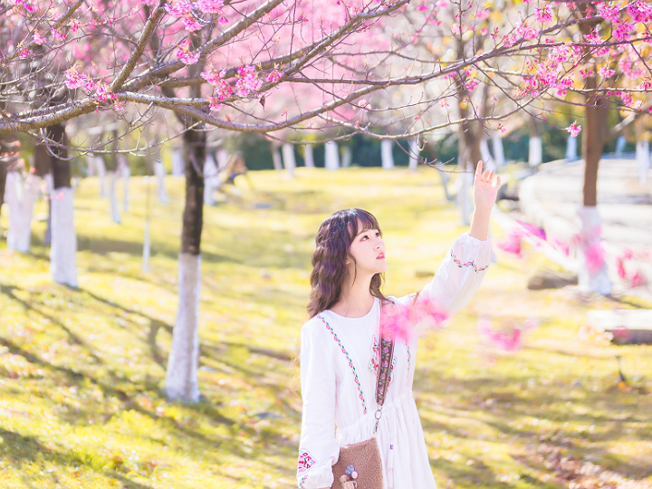 f828e759647f40b588cb7441a8fe5963.png