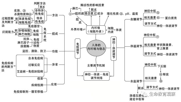 专题复习:人体内环境稳态和免疫调节