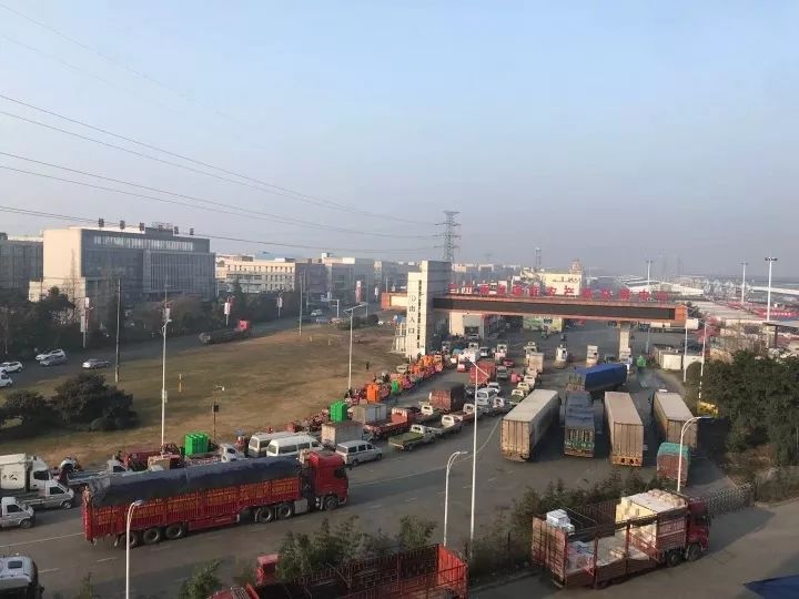 2020有机蔬菜排名_云南有机蔬菜面积全国排名第1位农产品网络(2)