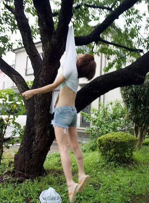 搞笑GIF：妹子非要调皮爬树，结果就成这样了_美女