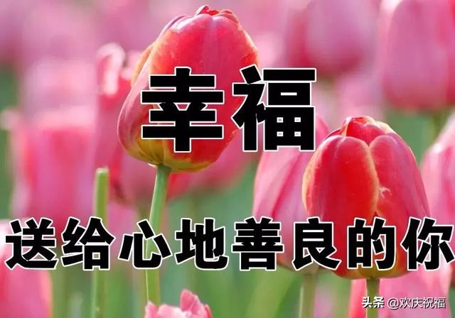 2cef5b20332141f5a7d7f5bc8ee6a97d.jpeg