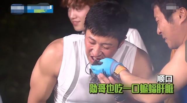 韓星吃蝙蝠被韓國專家點名批評，曾在節目中稱肉很緊致，味道不錯 娛樂 第13張
