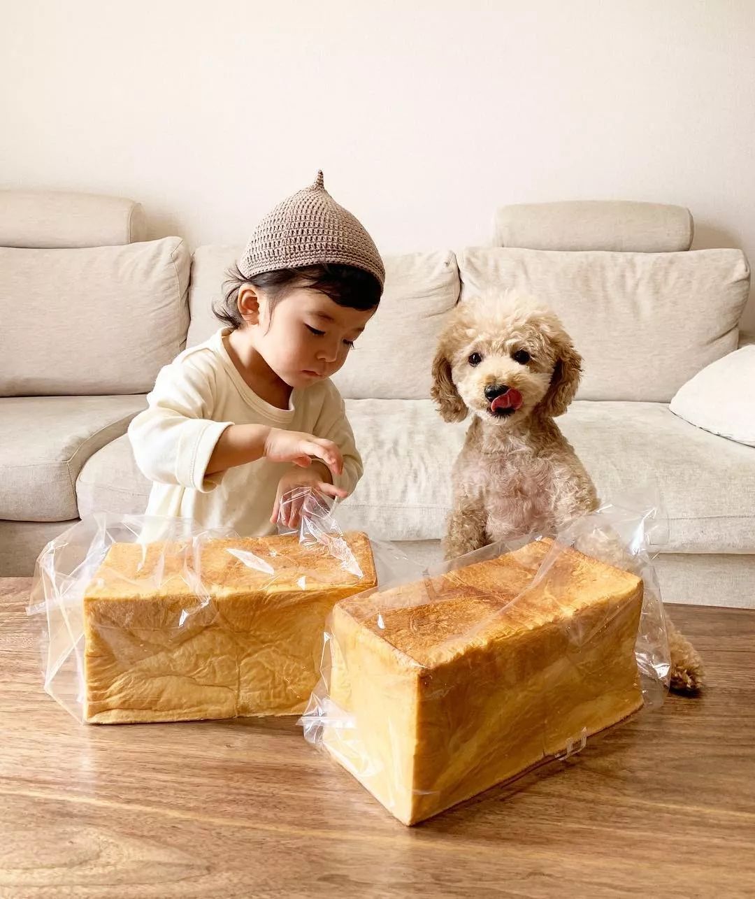 让狗狗带娃是什么体验？日本二胎美妈公开生活照，引千万网友围观