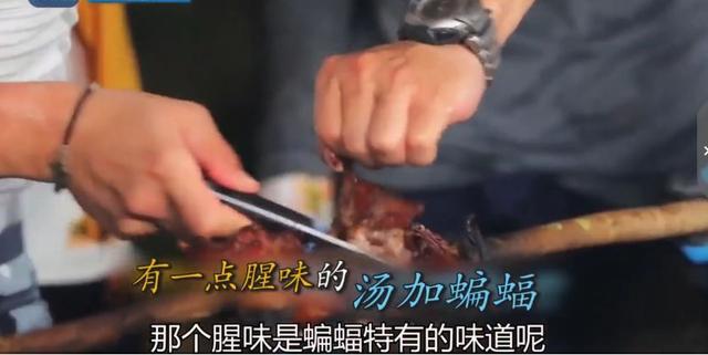 韓星吃蝙蝠被韓國專家點名批評，曾在節目中稱肉很緊致，味道不錯 娛樂 第22張