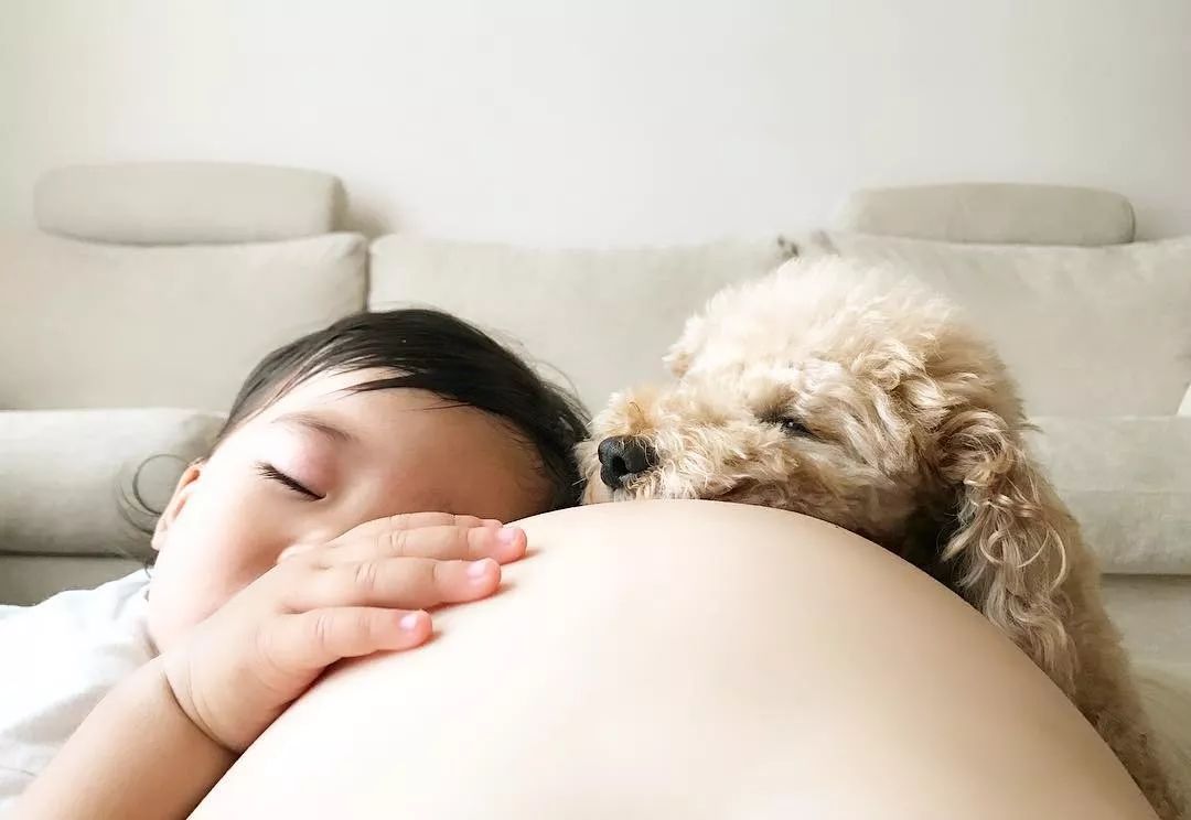 让狗狗带娃是什么体验？日本二胎美妈公开生活照，引千万网友围观