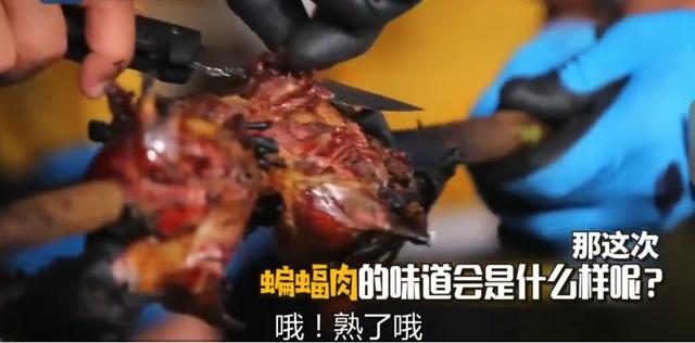 韓星吃蝙蝠被韓國專家點名批評，曾在節目中稱肉很緊致，味道不錯 娛樂 第19張