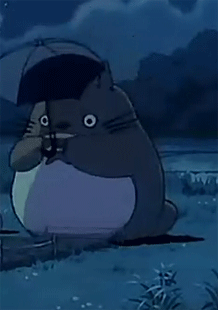 218_310gif 动态图 动图