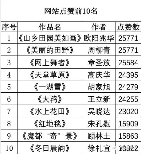 《一湖雪》胡家旭 摄网6《大鸨》王