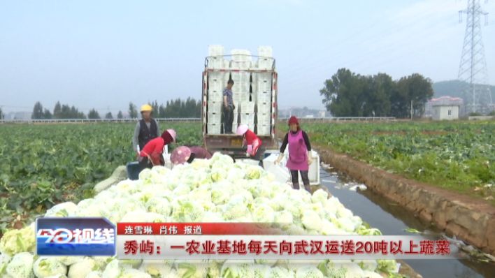 莆田武汉人口_莆田卤面图片