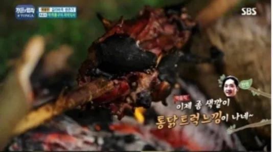 韓星吃蝙蝠被韓國專家點名批評，曾在節目中稱肉很緊致，味道不錯 娛樂 第5張