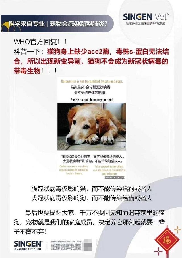 央视解释电视台美国疾控中心确认没证据猫狗会感染新型肺炎