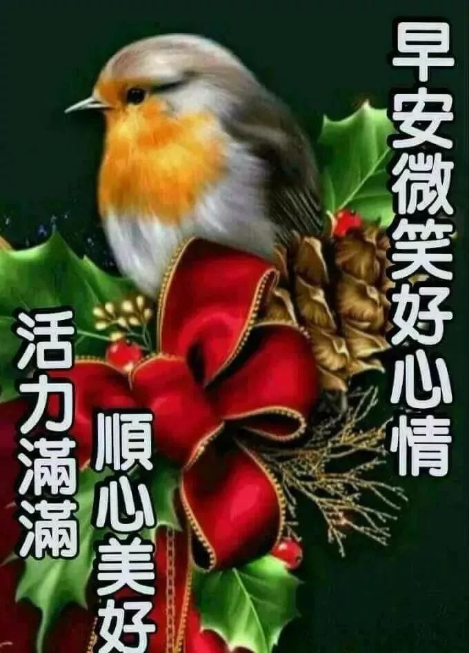 阳光暖人心的早安问候语动态表情图片,早上好动态祝福