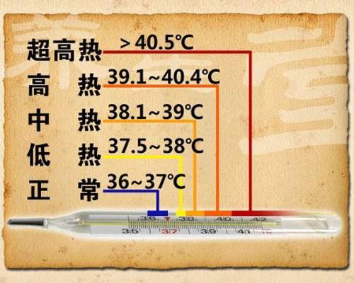 才不透简谱_儿歌简谱