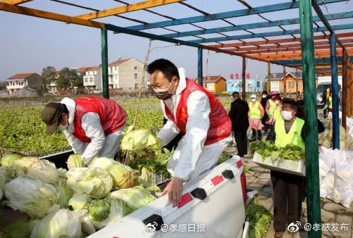 孝南各镇人口_孝南高中