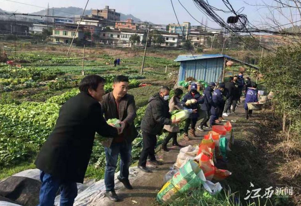 萍乡有多少人口有多少_萍乡有个鑫字是哪里(3)