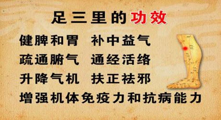中医补阳气的作用及方法有哪些 ce4522dfee3a48ba9ee6f8b73b774fa0.jpeg