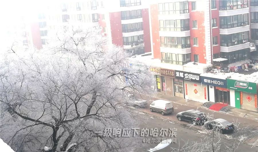 哈尔滨多少人口2021_哈尔滨人口图片(3)