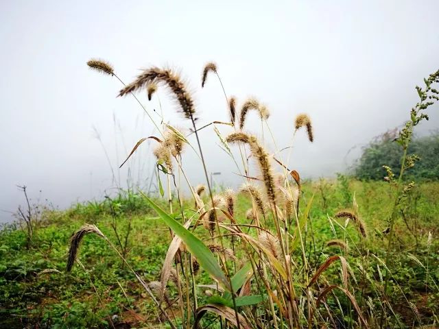 乡村设计如何让一个“空心”村重生