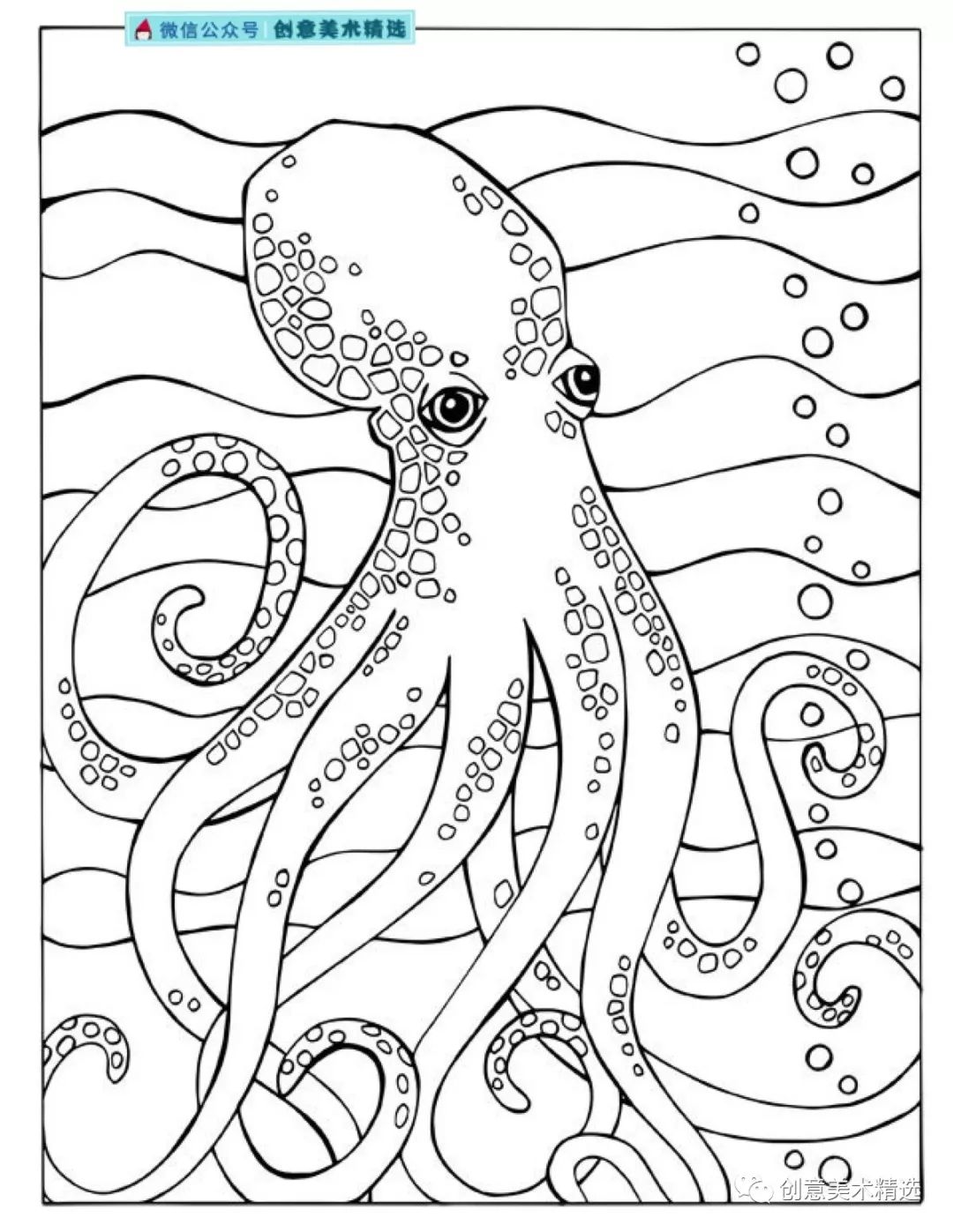 素材分享—海底世界主题线描作品_海洋