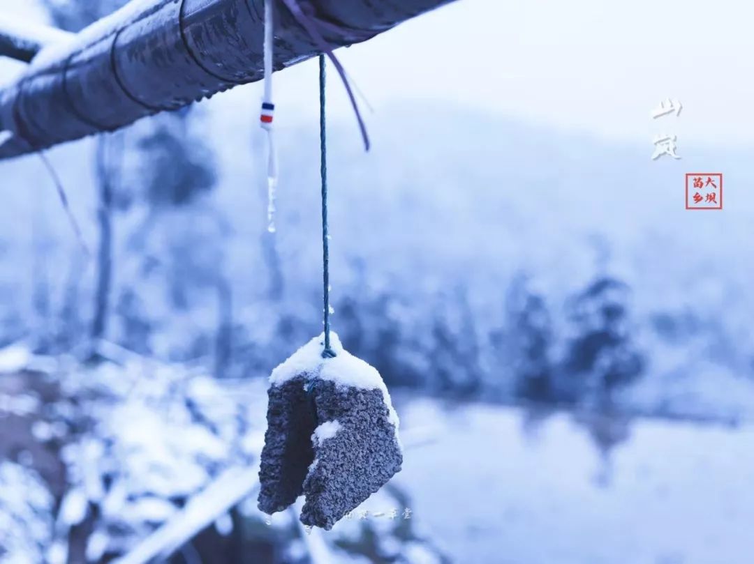 走,一起去看一场南方温柔的雪