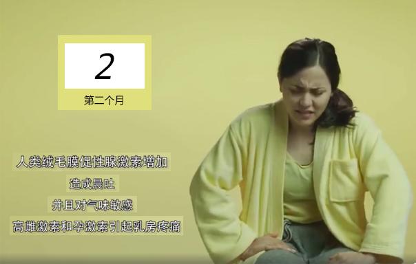 十月怀胎有多辛苦,10张图带你了解"孕育全过程,生命好神奇