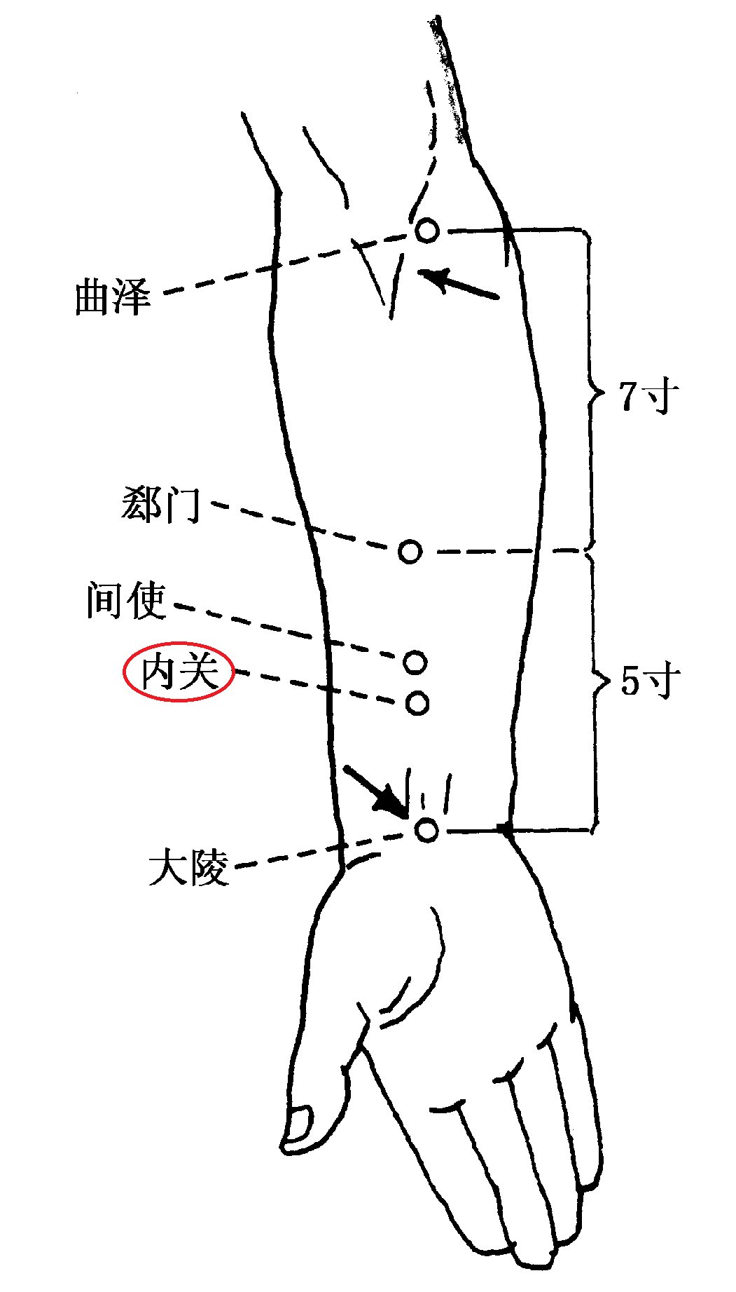 人流是什么原理是什么意思_胖次是什么意思图(3)