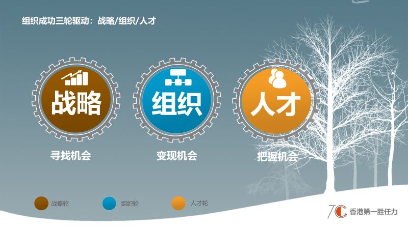 odmaps描画组织发展的三张地图把握企业成功的核心驱动要素