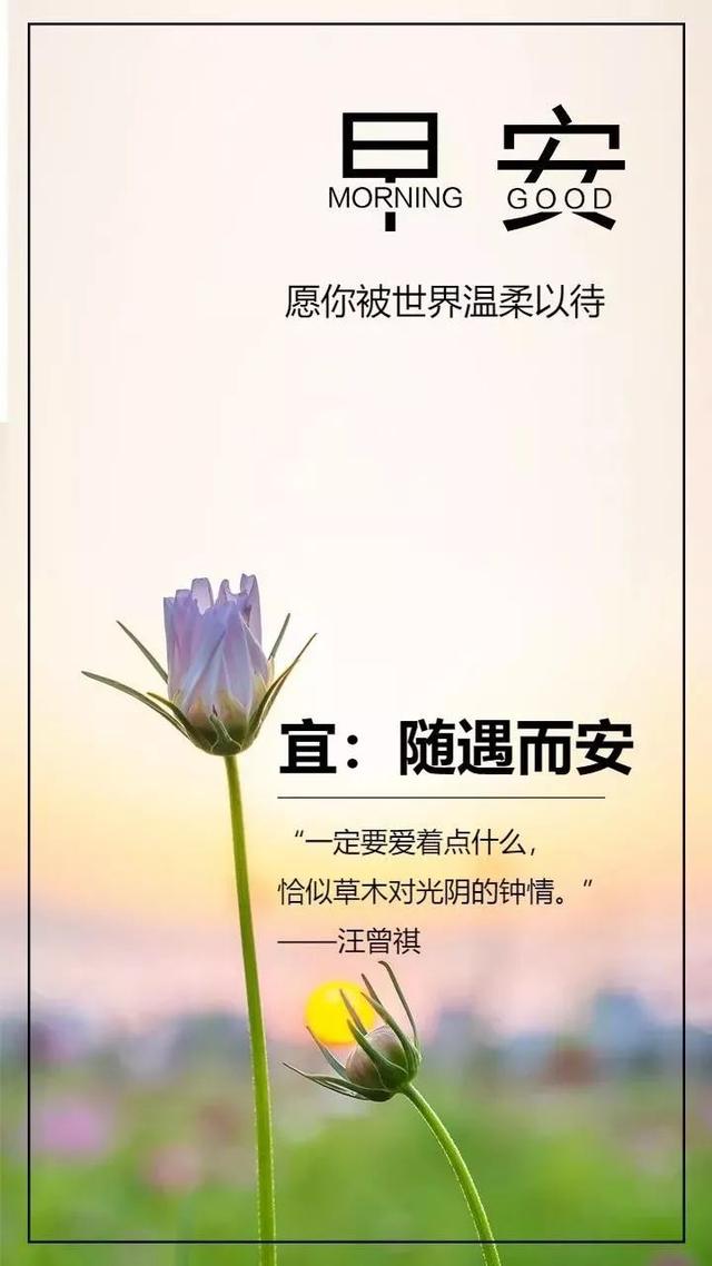 朋友,用思念温热你,用祝福暖透你,祝冬安,早上好