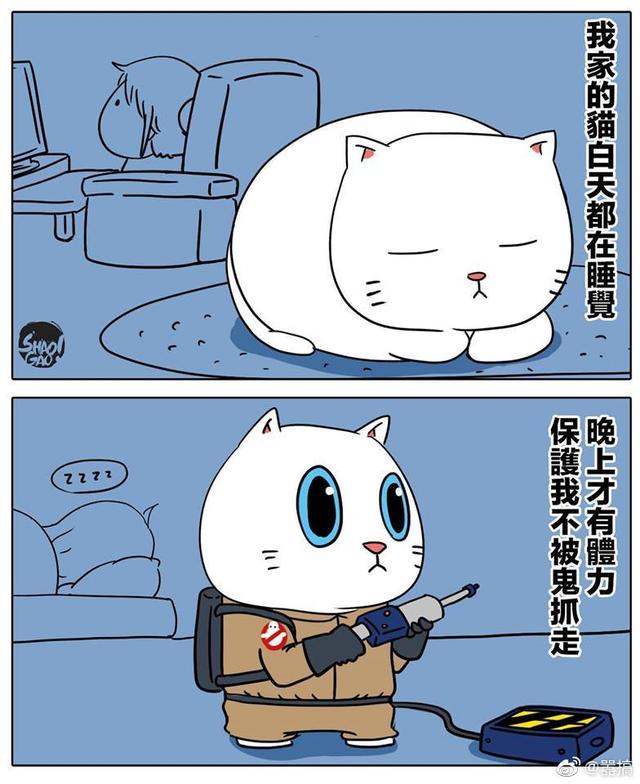 「搞笑漫画」守护神猫猫:人类你靠我太近了