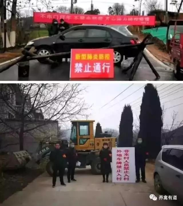 「养禽有道 防疫封村,封路!但请留下畜禽物资绿色通道