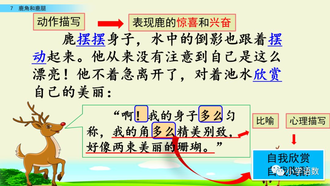 部编版三年级下册第7课《鹿角和鹿腿》图文讲解 知识点梳理