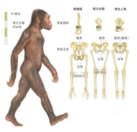 cb7024eeaf1848ba9f6a241266c8098e.png