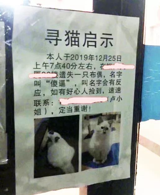 看完铲屎官设计的寻猫启事，猫走得更远了…