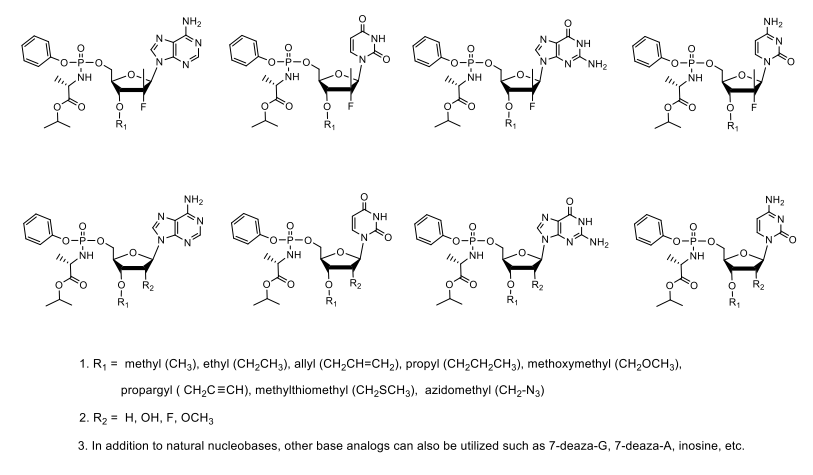 biorxiv | 核苷酸类似物可作为病毒聚合酶抑制剂