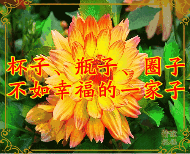 相隔千里万里好的继续,不好的舍弃新的一年里不要再为难自己2020年,祝