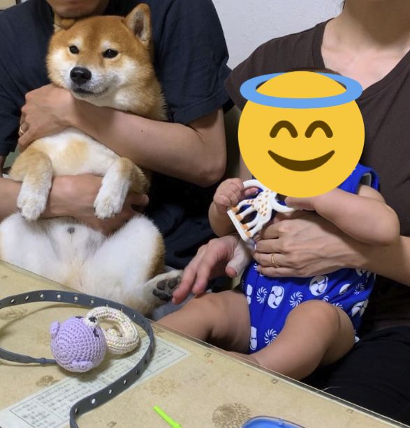 什么是舔狗的最高境界 4573fe1cb5144cbf871bfeeda011a162.jpeg
