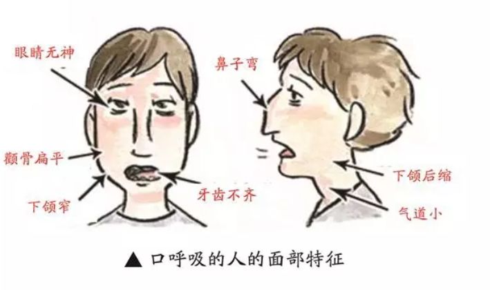 539a837ae9ee43b7ab8cb73403a8f177.jpeg