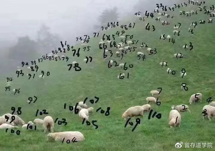 宅家不无聊,肥宅快乐指南送给你