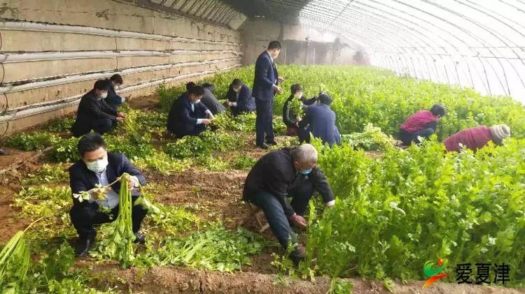 雷集镇人口_雷集镇中学