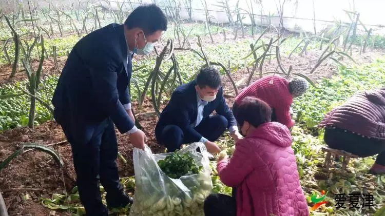 雷集镇人口_雷集镇中学