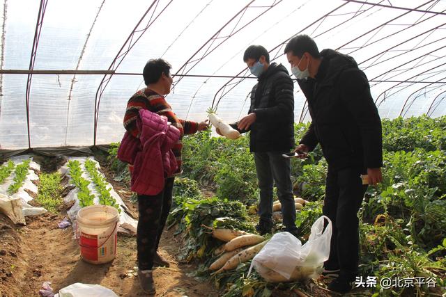 马昌营镇人口_马昌营镇位置图(2)