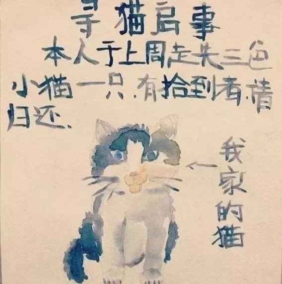 看完铲屎官设计的寻猫启事，猫走得更远了…