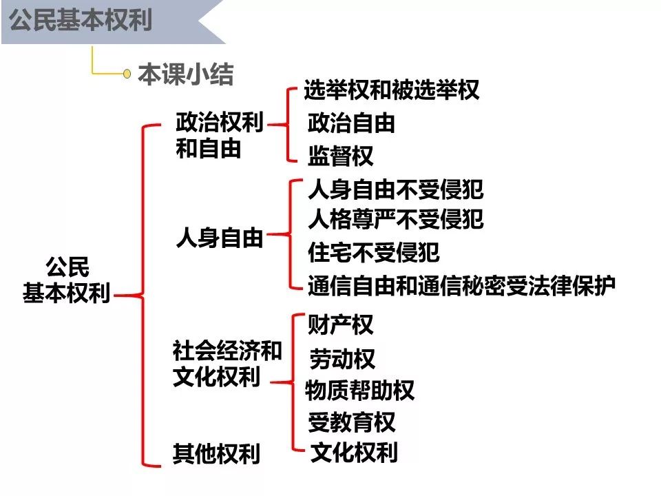 八下31公民基本权利