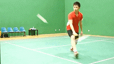 a045eb73d3404411825e9344f935345b.gif
