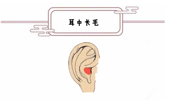 a8dd572e79094c24bf4debe1c3be1aa5.png