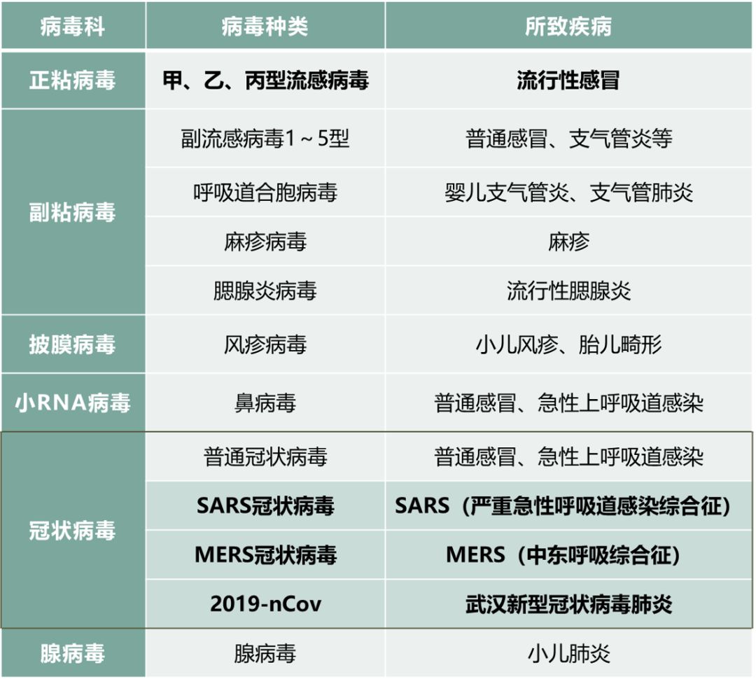 智库科普生命的宿敌病毒的前世今生