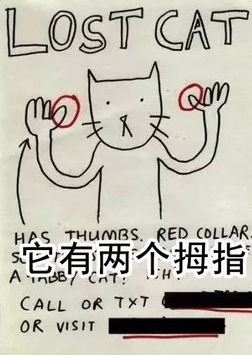 看完铲屎官设计的寻猫启事，猫走得更远了…