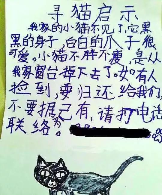 看完铲屎官设计的寻猫启事，猫走得更远了…