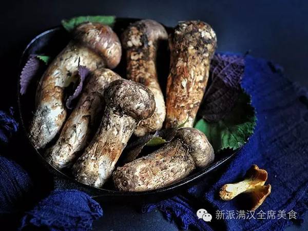 松茸图片高清图 c8297ed692764f8eac666c1193a94758.jpeg