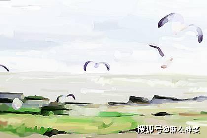 梦到捡鸡蛋，生活富足与好运的预兆？